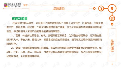 文化經(jīng)紀(jì)人服務(wù)驅(qū)動大米姐品牌營銷策劃方案