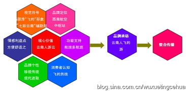 彩云之翼，文化為帆——東方航空云南市場(chǎng)品牌營銷策劃紀(jì)實(shí)
